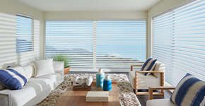 Custom Window Blinds